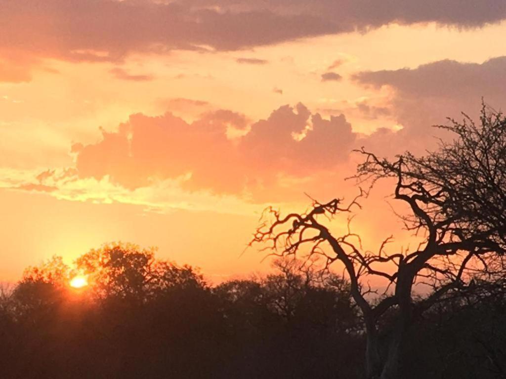 Panache Wildlife Cottage-Self Catering Hoedspruit Bagian luar foto